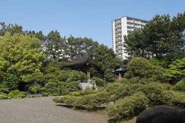<p>The tree's branches spread like fingers across the gravel</p>