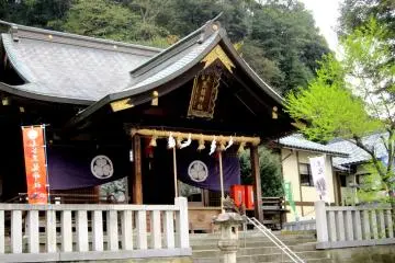 Gallery image