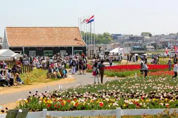 <p>งานเทศกาลทิวลิปแห่งเมืองซากุระมีขึ้นตั้งแต่วันที่ 1 เมษายน - 29 เมษายน ในภาพจะเห็นร้านขายของเล็กๆ และทิวลิปหลากสี</p>