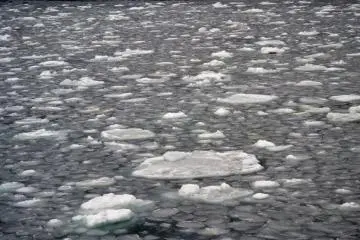 Drifting blocks of ice