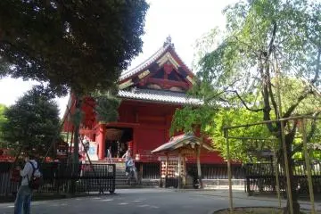 Gallery image