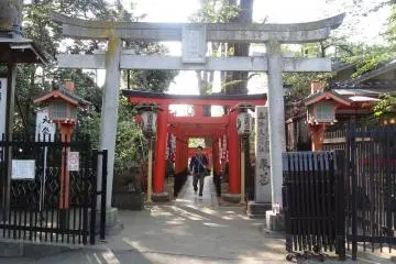 Gallery image