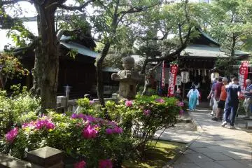 Gallery image