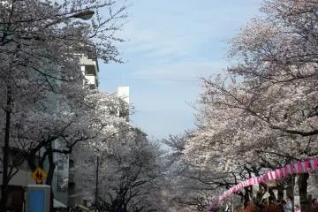 It was very relaxing to walk around the festival without worrying about any traffic whatsoever.