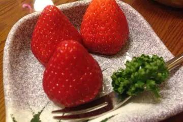 <p>ผลไม้ตบท้าย</p>