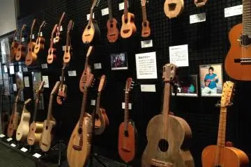 Gallery image