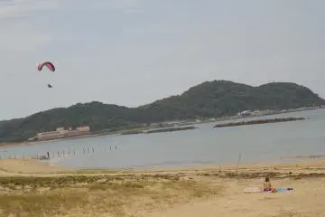<p>You may catch sight of some entertainment up high</p>