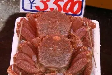 <p>ปูขน</p>