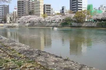 Pleasure boats and river tours are a common sight.