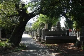 <p>สุสานยะนะกะ</p>