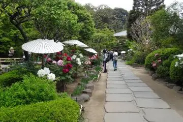 <p>สวนดอกโบตั๋น</p>