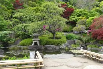 <p>สวนญี่ปุ่นแท้</p>
