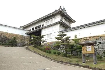 Gallery image