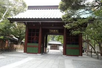 Gallery image
