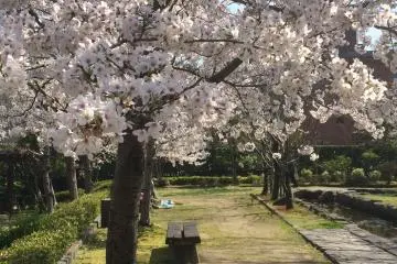 <p>สถานที่ที่น่าผ่อนคลาย</p>