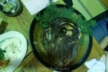 Tuna Fish Head