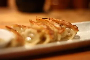 <p>The gyoza that came with the top-up combo.</p>