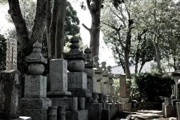 <p>A shady corner of the cemetery</p>