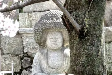 <p>I was told by a local (who also happened to be a foreigner) that the hair on this statue is unique in Kyoto</p>