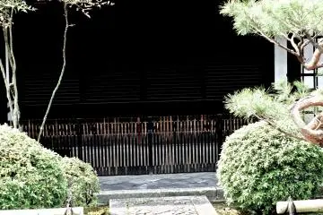 입구를 가로막는 작은 돌