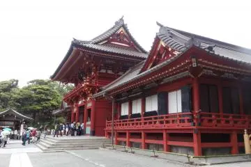 <p>ศาลเจ้าซึรุโอะกะ ฮะชิมาน กุ (tsuruoka hachiman gu) สร้างขึ้นในปี 1063 เป็นศาลเจ้าที่ใหญ่และสำคัญที่สุดในคามาคุระ</p>