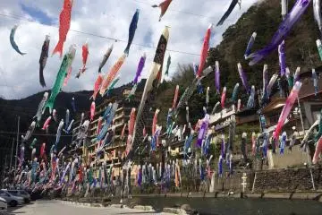 <p>Koinobori (carp streamers)</p>