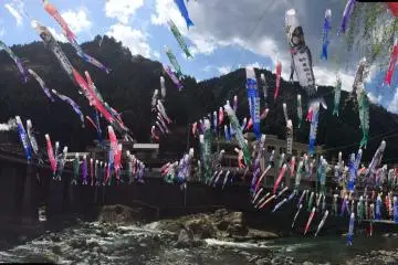 <p>Thousands of koinobori (carp streamers)</p>