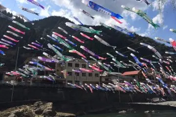 <p>Flying carp streamers</p>