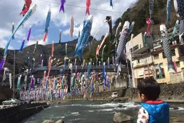 <p>A little kid amazed with the carp streamers</p>