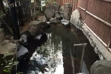 <p>Outdoor hot spring</p>