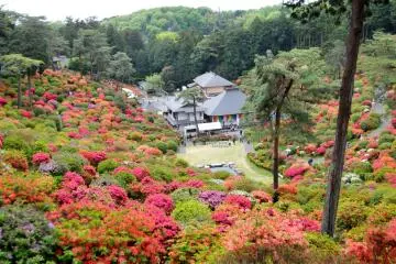 Les Plus Belles Azalées de Tokyo 2026
