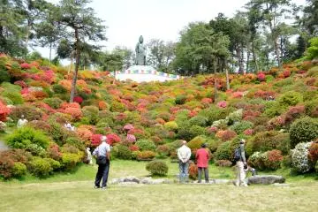 <p>Il y a un petit jardin derri&egrave;re le b&acirc;timent principal du complexe. Asseyez-vous et prenez une ou deux minutes (ou plus!) pour admirer le paysage.</p>