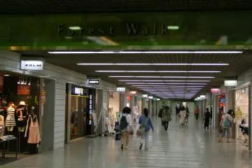 Gallery image