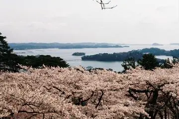 ช่างสวยจริงๆ