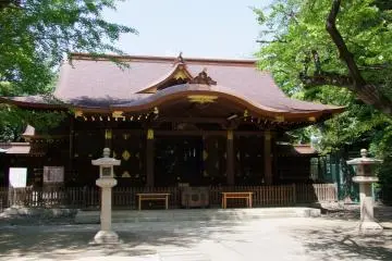 Gallery image