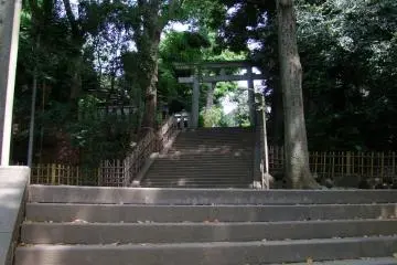 <p>Climbing the stairs to the top</p>