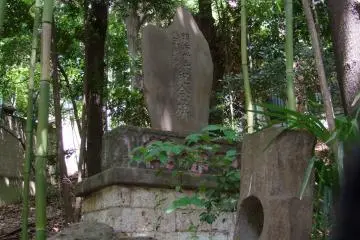 <p>Set amongst the bamboo</p>