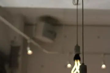 <p>Light bulbs, pretty.&nbsp;</p>