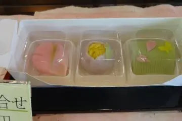 <p>วะกะชิ (Wagashi)</p>