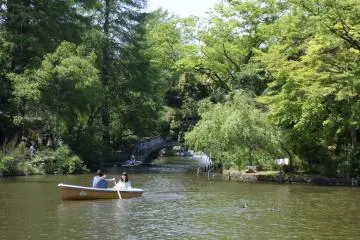 Renting a boat is a popular activity at the park.
