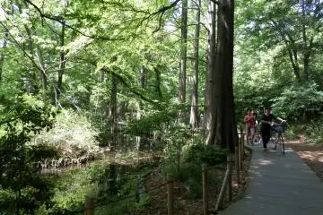 The park is popular with runners and bikers alike.