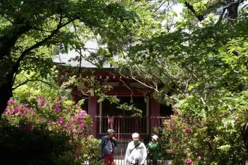 <p>ศาลเจ้าเกือบจะถูกปกปิดไปด้วยต้นไม้และดอกไม้</p>