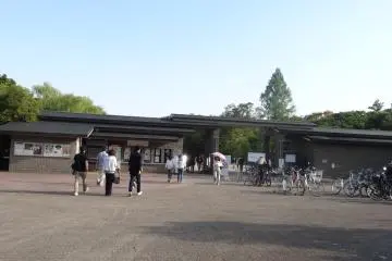 Gallery image