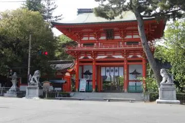 Gallery image