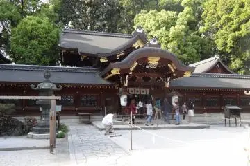 Gallery image