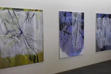 <p>Paintings in the special temporary exhibition (by Japanese artist&nbsp;Keisuke&nbsp;Miyashita)</p>