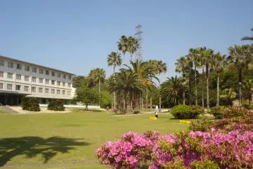 <p>Kyukamura Hotel Resort sur l'&icirc;le</p>