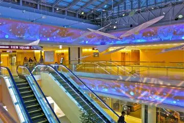 <p>When the lights dim, look up to watch the Silent Zoo light show near the main escalators.</p>