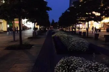 <p>거리가 너무 깨끗하고 이쁘게 잘 꾸며 있답니다.</p>