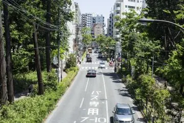 Streets of Kichijoji.